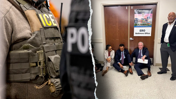 What are ICE’s visiting policies, and why are Democrats suing over them?