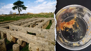 Researchers discover 2,500-year-old honey residue in ancient bronze jars