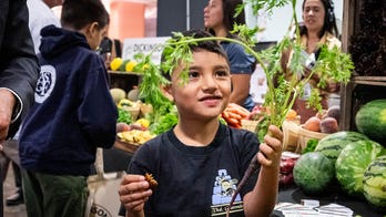5 ways MAHA moms can fix kids' junk food problem at school lunches nationwide