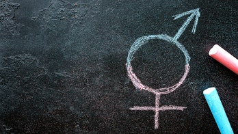 Ethics professor sues university, says he was fired over criticism of gender policies