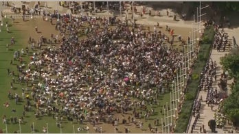 Hundreds of anti-Israel protestors arrested in London for supporting group banned under terrorism law