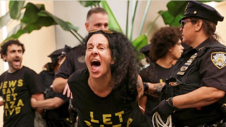 'Grey's Anatomy' actor joins anti-Israel demonstrators at Dem senators' office building