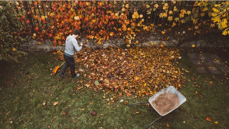 The secret to a clean yard this fall? These 9 yard tools