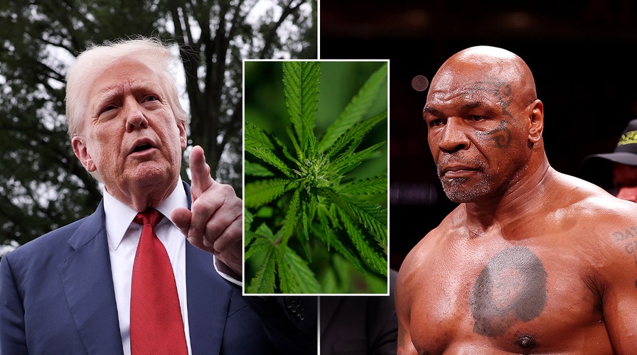 Mike Tyson reflects on his experiences with Cannabis amid push for federal reform