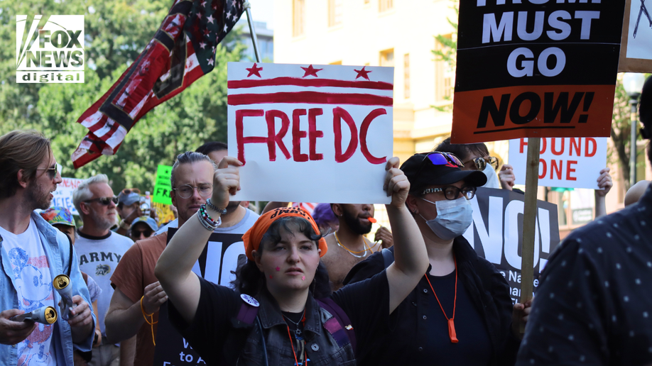 Free DC protester