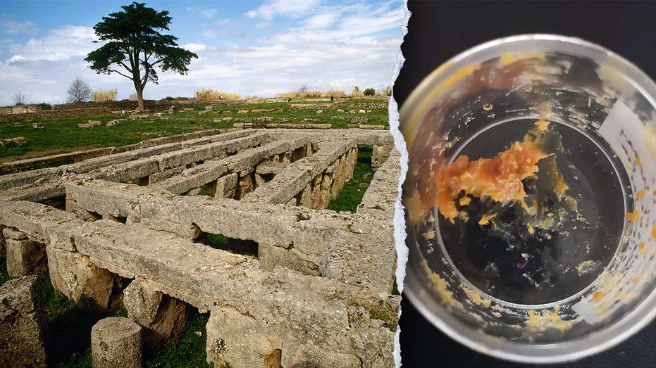 Researchers discover 2,500-year-old honey residue in ancient bronze jars
