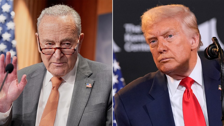 Schumer gives profanity-laced response to whether Dems will help extend DC police takeover