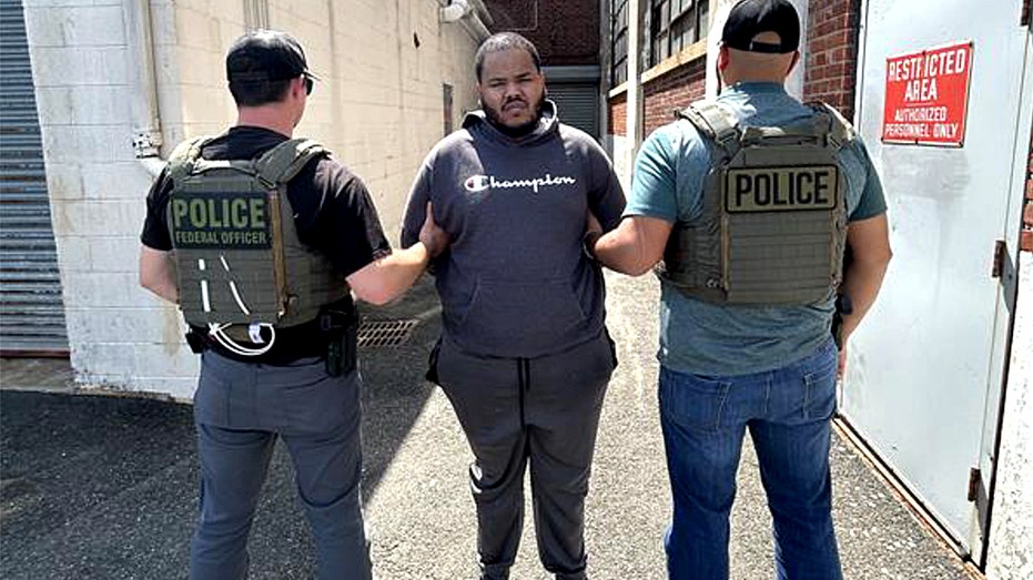 ICE slams blue city for releasing suspect in child sex case despite detainer request from federal agents