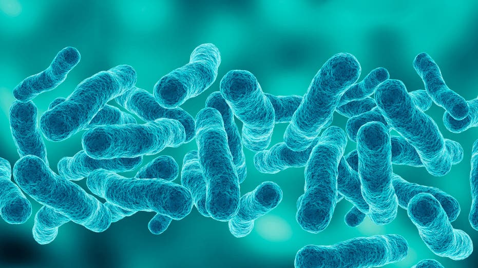 First death reported in Upper East Side Legionnaires' disease outbreak as cases rise to 67