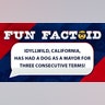 Idyllwild, California, has had a dog as a mayor for three consecutive terms