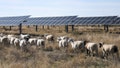 Red states are the ones going green and winning the clean energy race - Fox News