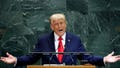LIZ PEEK: Can Trump Make the UN Great Again despite its globalist agenda? - Fox News