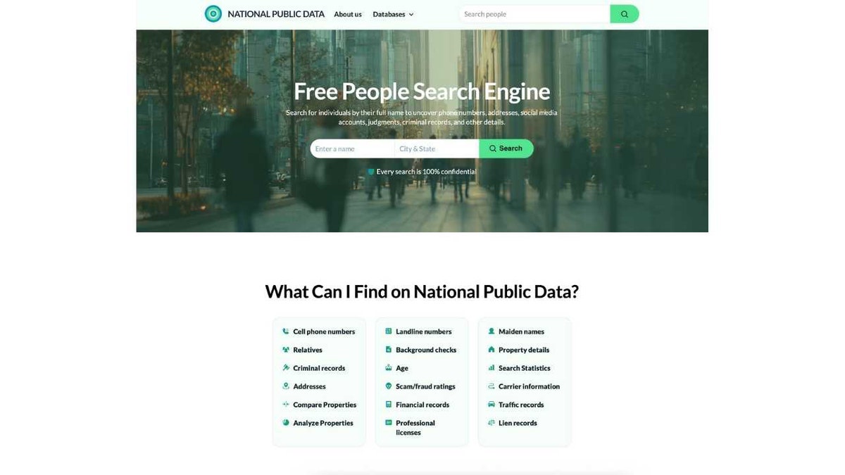 The homepage of National Public Data