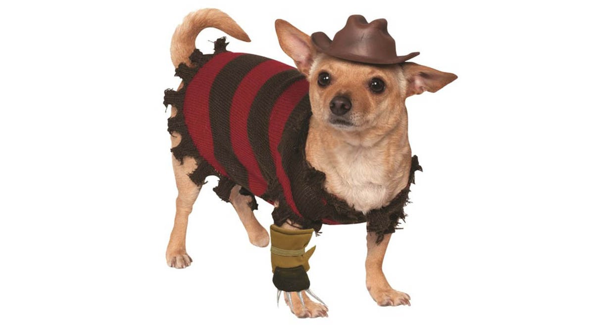 For a scary costume, go with Freddy Kruger.