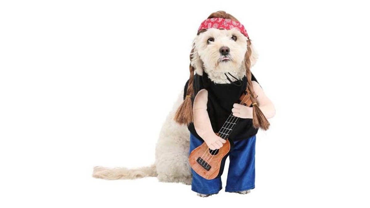 Your dog could become one of the best musicians to date.