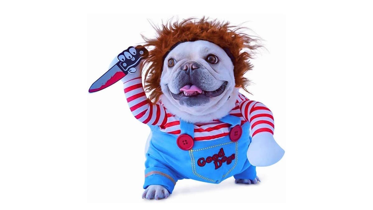 Love horror movies? Then you'll love this costume.