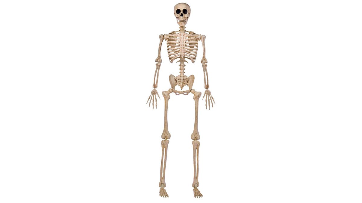 Add some skeleton decor to your Halloween haven.