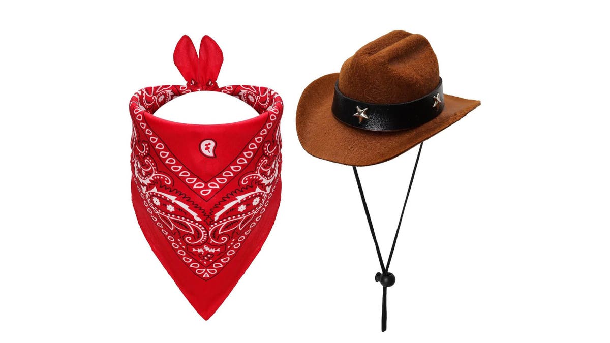 A cowboy costume is an age-old costume that'll be a hit year after year. 