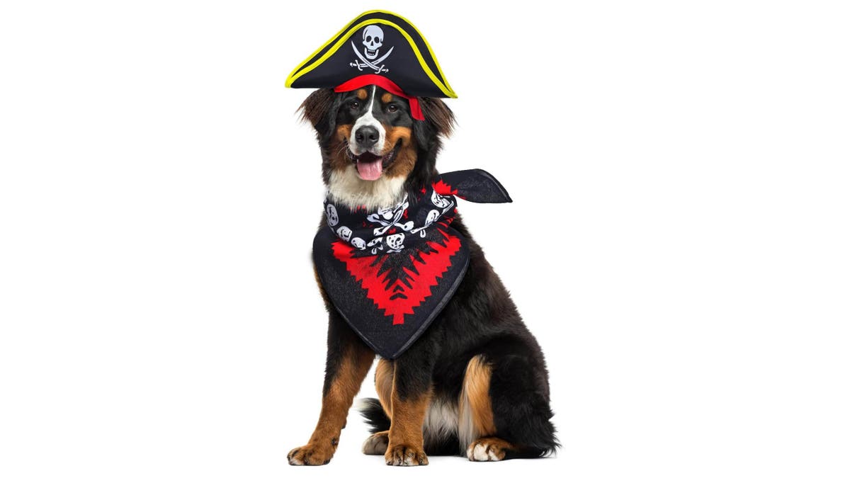 For a timeless look, go with a pirate costume.