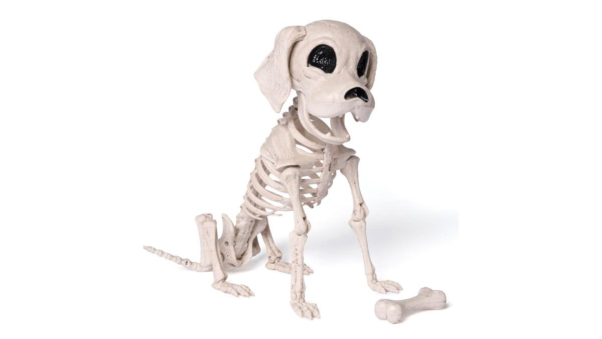 Give your skeleton a sidekick with this skeleton dog.