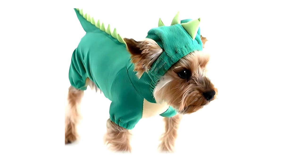 This adorable dinosaur costume will be a huge hit.