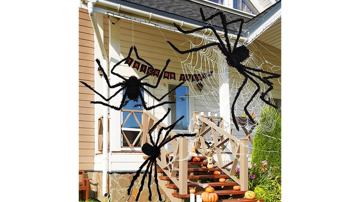 These creepy crawlers perched on a roof will catch everyone's eye.