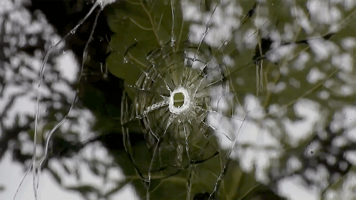 ABC 10 bullet holes
