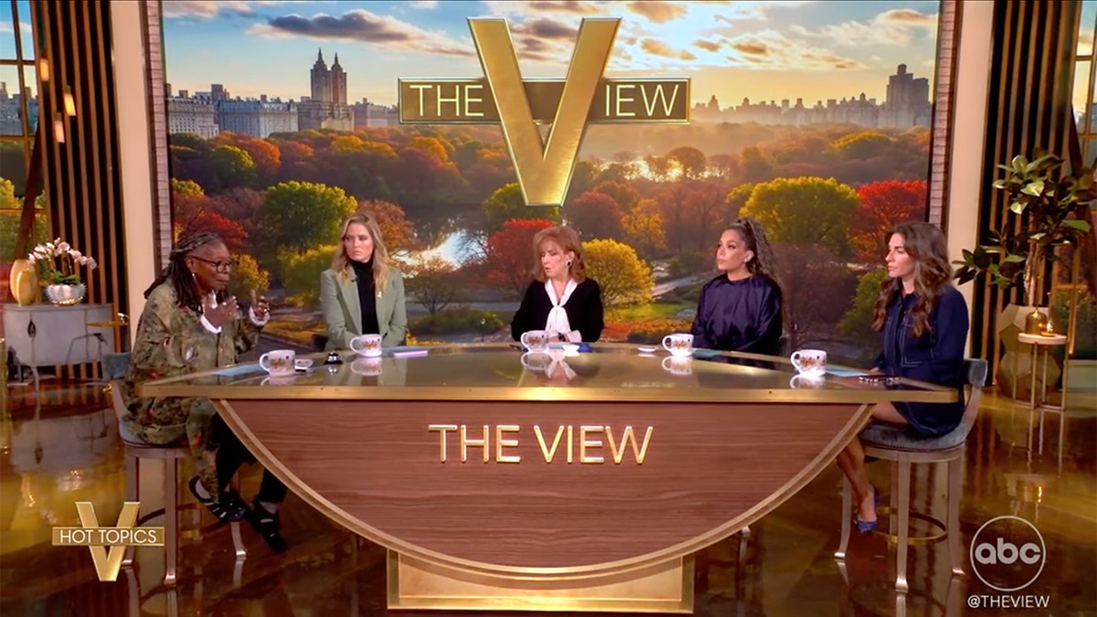 ABC's "The View" co-hosts