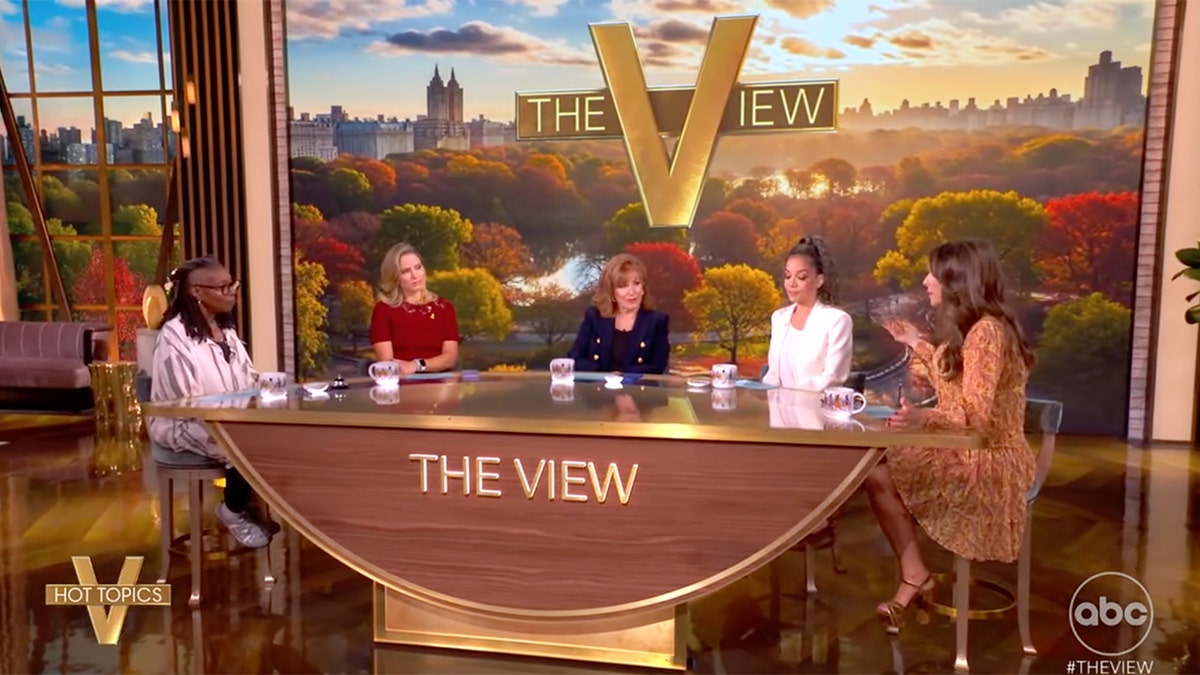 ABC's 'The View' hosts