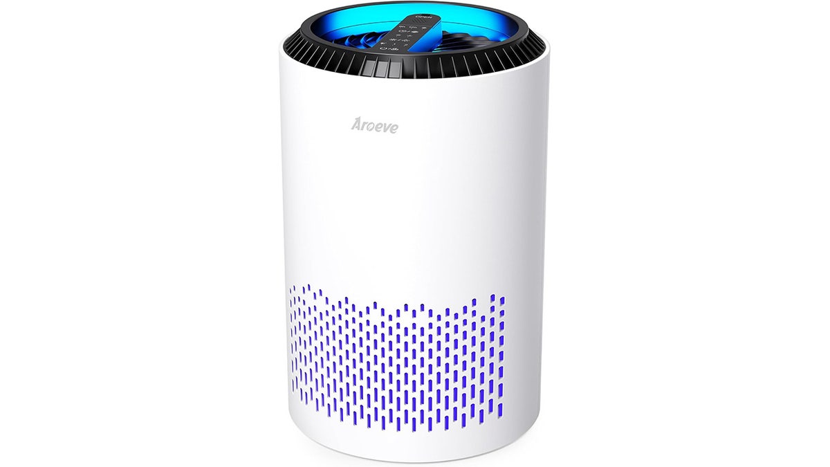 Clean air in rooms up to 287 square feet with this purifier.?