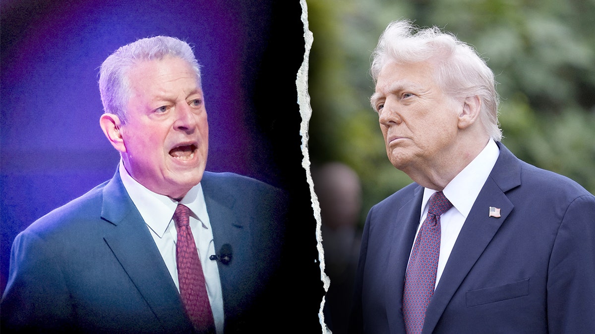 Al Gore and Donald Trump