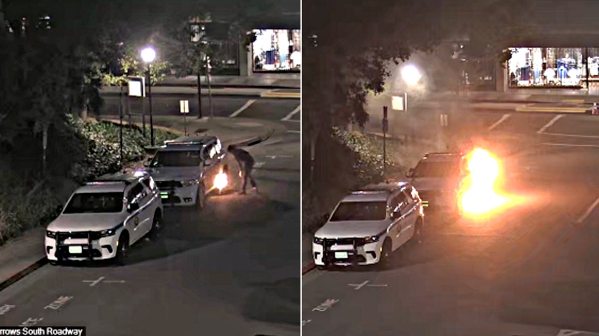 Casey Robert Goonan has been sentenced in connection with arson