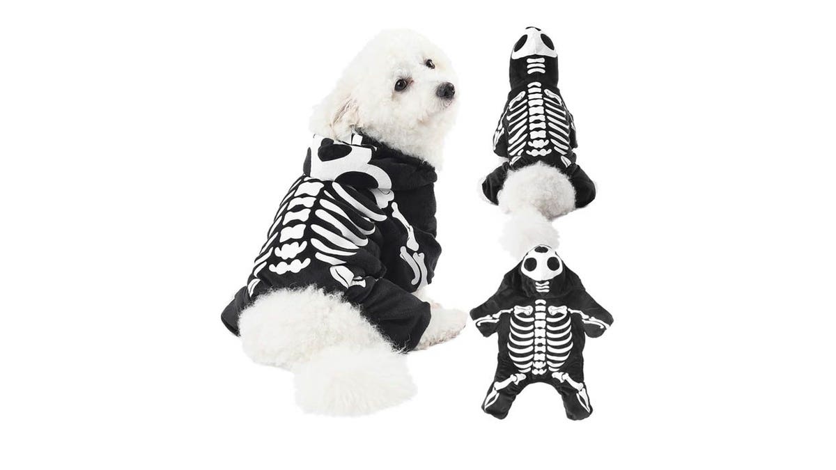 Turn your pup into a spooky skeleton for Halloween.