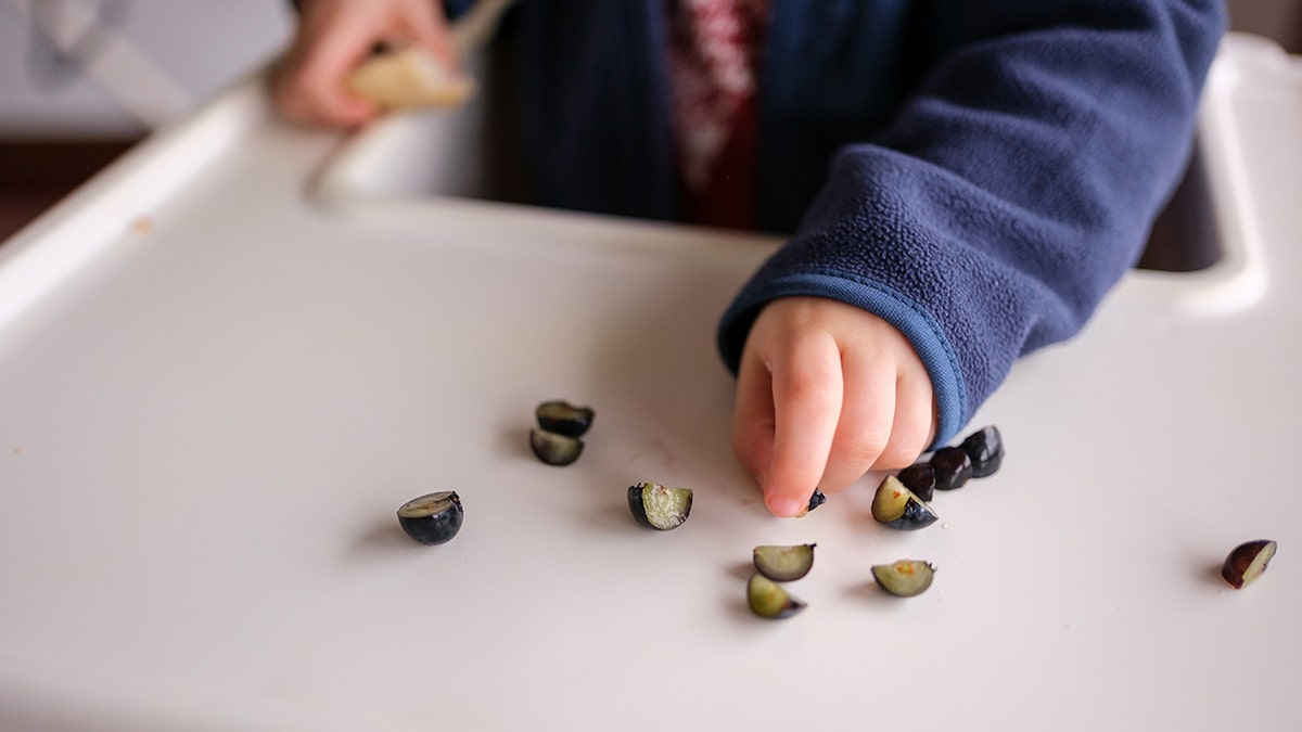 Baby hands seen up close eating cut up blueberries on highchair tray