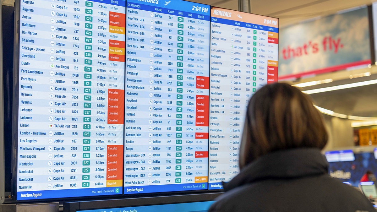 Passenger looks at flights