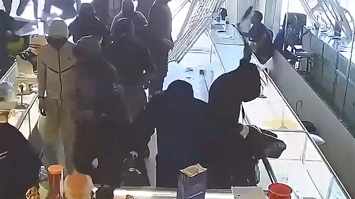 There are more than a dozen suspects in the jewelry store robbery