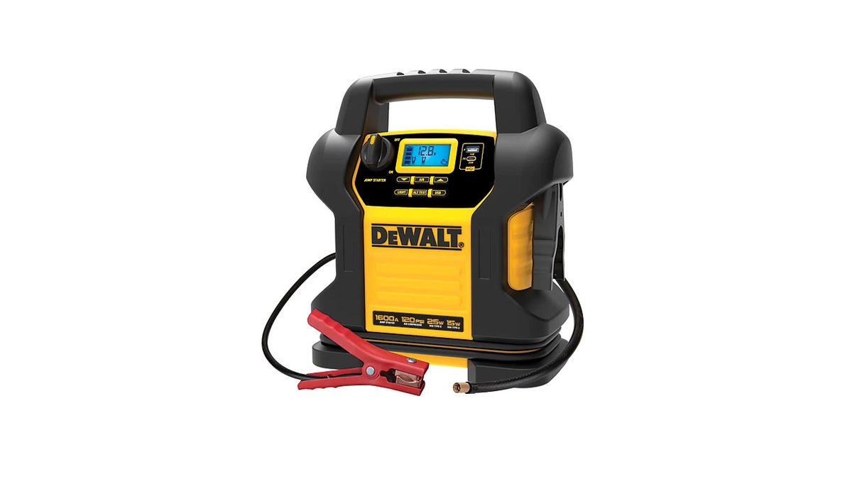 DeWalt makes a tough generator with an air compressor, light and power bank. 