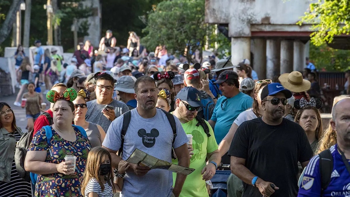 Multidões de adultos no Animal Kingdom da Disney, alguns vistos com orelhas de Mickey e outros produtos.