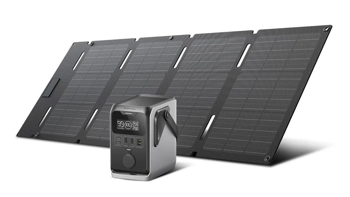 The EcoFlow Delta 3 1500 has a selection of USB plugs for charging your gadgets.