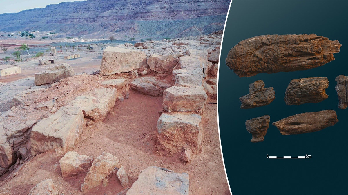 Split image of Wadi al-Nasb next to charcoal from local trees