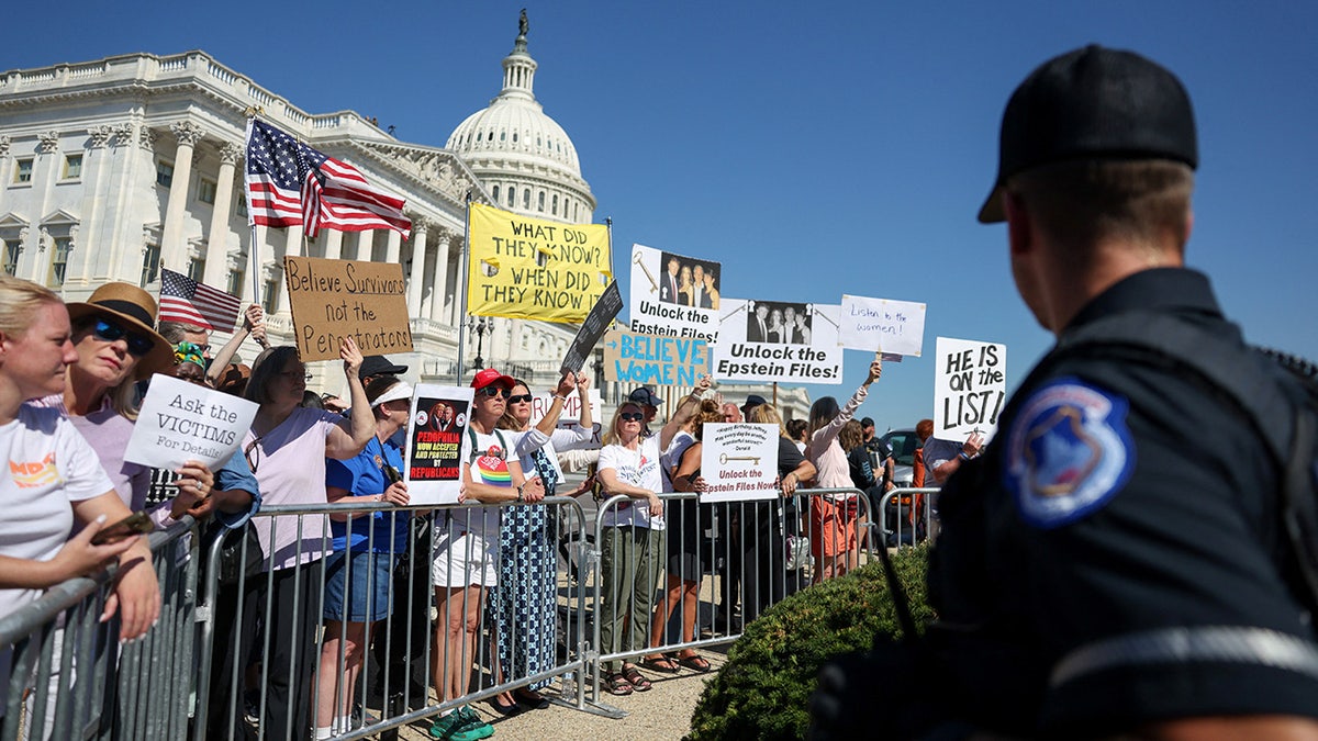 Rally pushing for the release of Epstein documents in Washington, DC