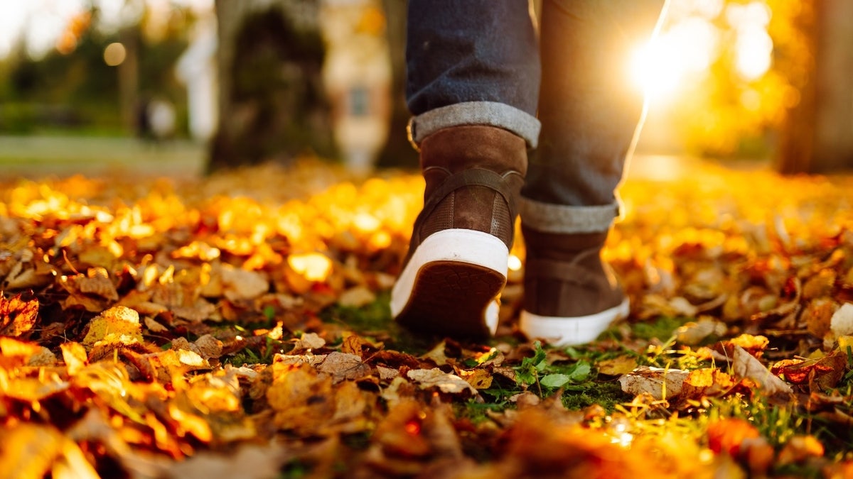 Fall walking must-haves: Jackets, gloves, reflective gear and portable treadmills