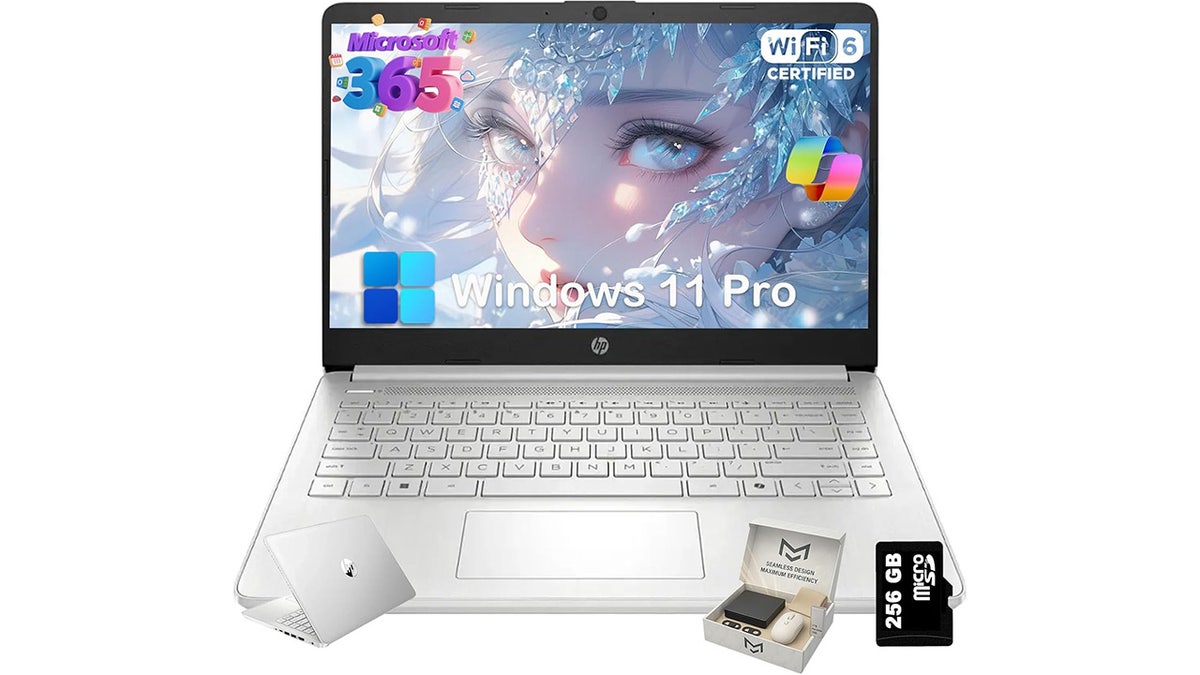 Get extra storage with this workhorse laptop.