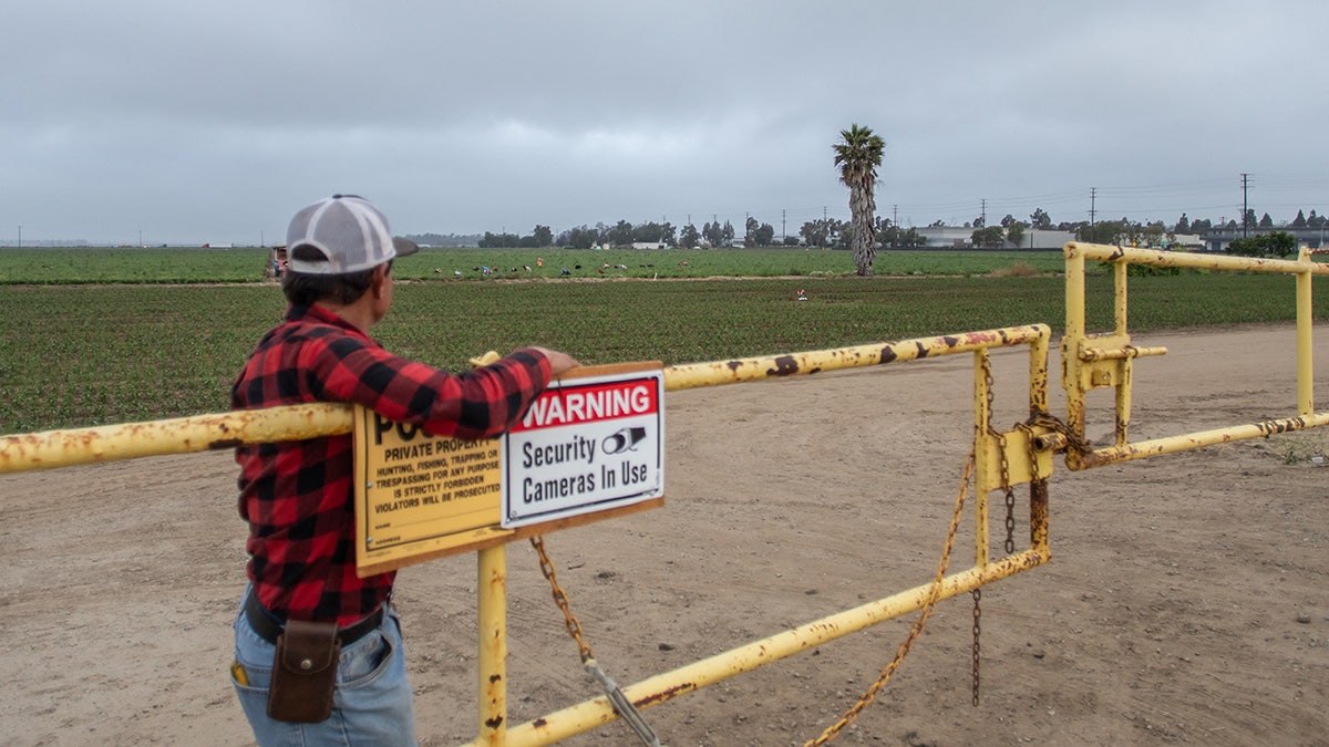 a farmer in California in June 2025