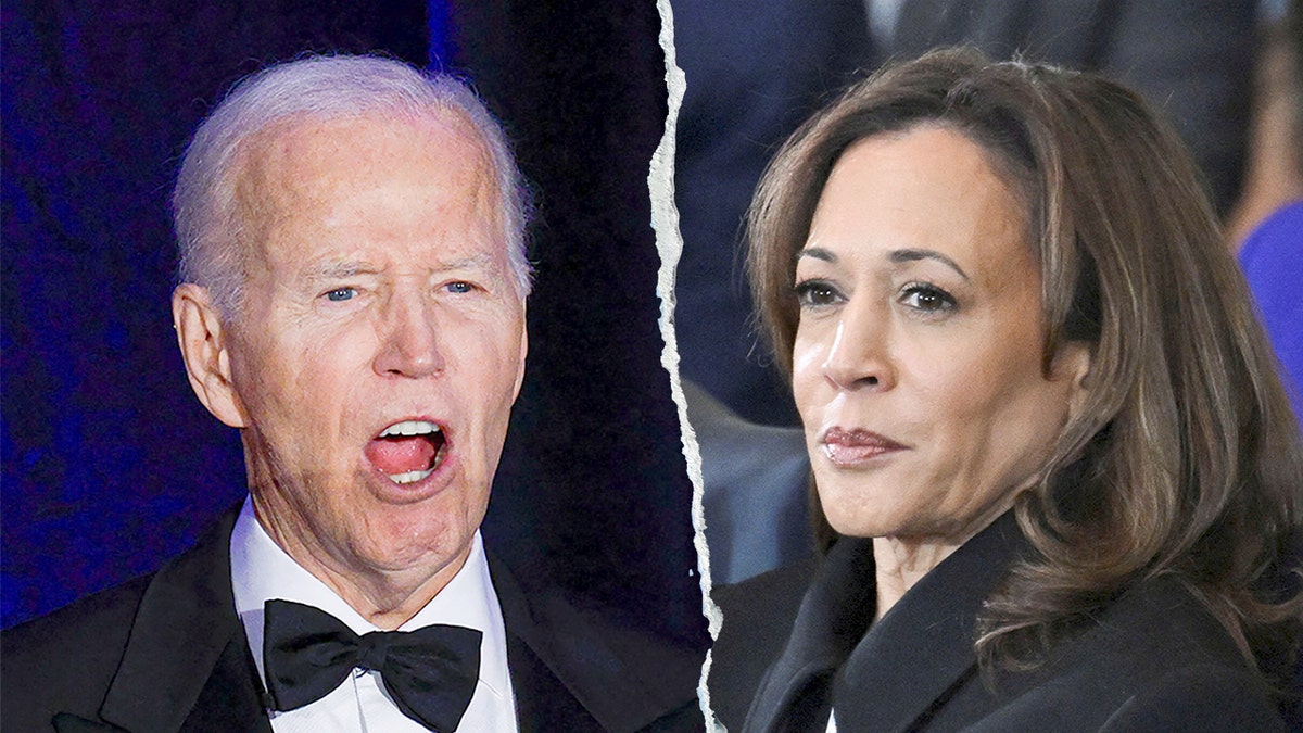 Split of former President Joe Biden and former Vice President Kamala Harris