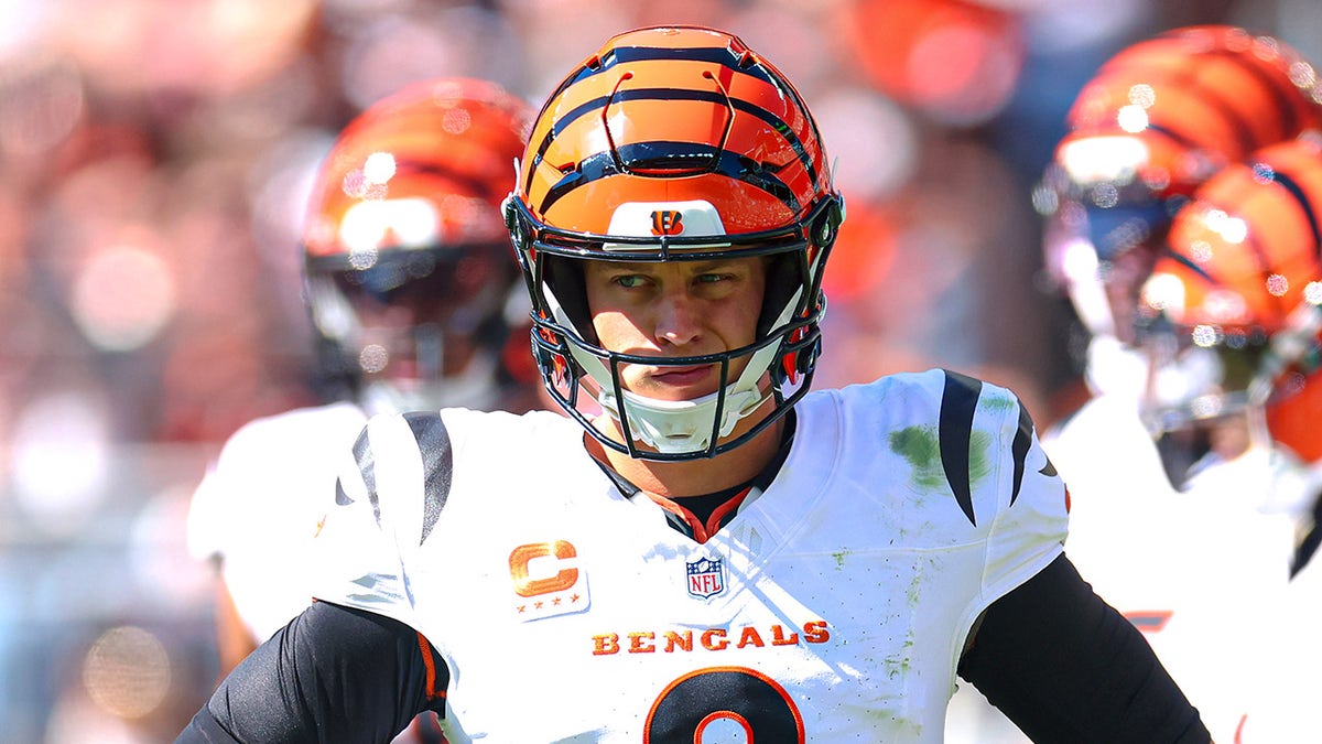 Joe Burrow watches in the wild