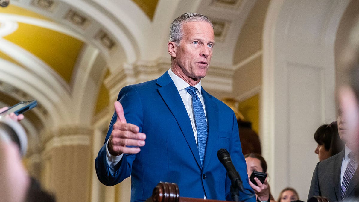 Senate minority whip John Thune