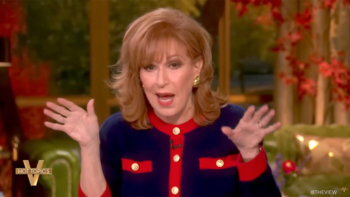 Joy Behar on 'The View'