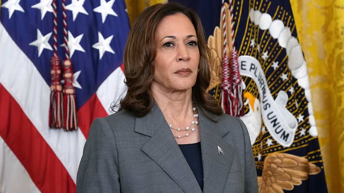 Former Vice President Kamala Harris at the White House