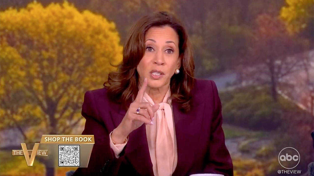 Kamala Harris rejects idea that bungled 'View' interview was tipping point in campaign